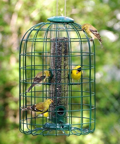 Audubon Hanging Bird Bath